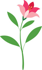 Fototapeta premium Alstroemeria sprig botanical flower element drawn in detailed outline Vector illustration