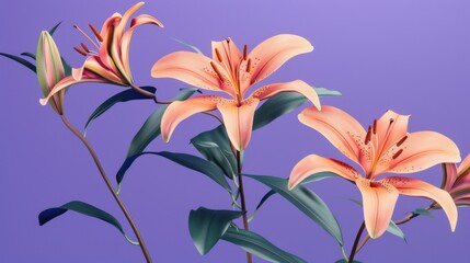Fototapeta premium Pink Lilies with Green Leaves on Purple Background for Floral Design
