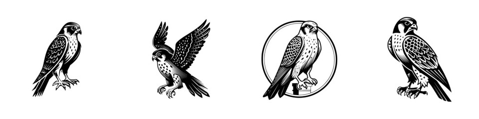 Set of four peregrine falcon icons in a black and white woodcut style showing different poses for logos or emblems
