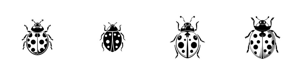 Simple black and white ladybug icon set with four different graphic designs, isolated insect symbols for logos or nature themes