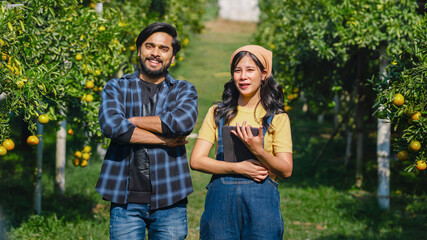 Fototapeta premium man and woman stand in field of oranges