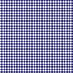 Blue and White Plaid Seamless Pattern Design