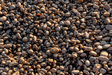 Natural stone texture with cracks, vegetation and dirt, texture background