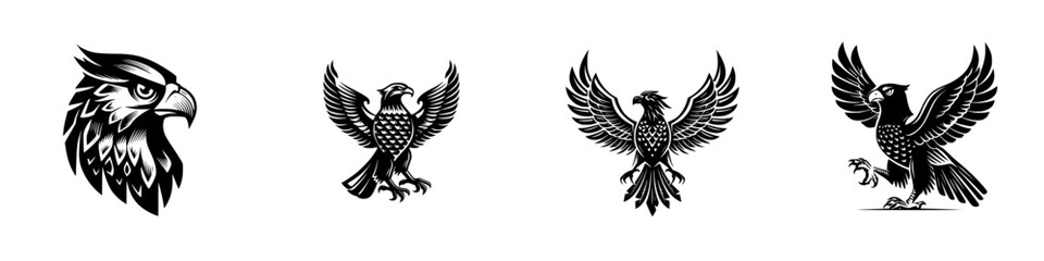 Set of black and white eagle hawk logos and emblems with spread wings, isolated graphic symbols for branding