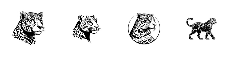 Collection of black and white jaguar head portraits and full body silhouette icons for logo or emblem design in a graphic style