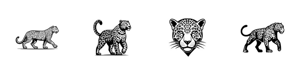 Black and white graphic icon set of a leopard in various poses including walking, standing, and a frontal head portrait for a mascot or logo design