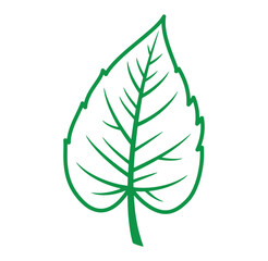 Simple green leaf outline illustration nature symbol graphic design element isolated