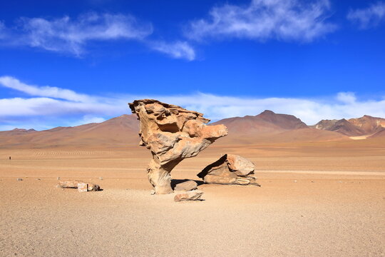 The famous stone tree rock formation (Arbol de Piedra) in the Siloli desert in the region of the Uyuni Salt Flat, Bolivia, South America