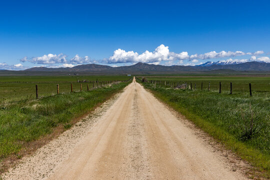 Empty dirt road through Camas Prairie