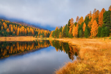Nature. Lake and autumn forest. Cloudy sky. Reflections on the water surface. Incredible view of the mountain valley. Photo for background, wallpaper, postcards.