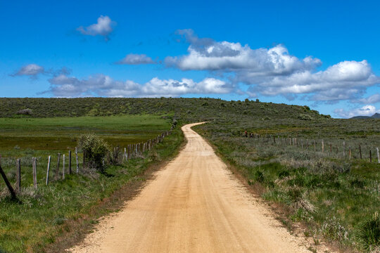 Empty dirt road through Camas Prairie