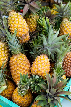 Close-up of heap of pineapples for sale