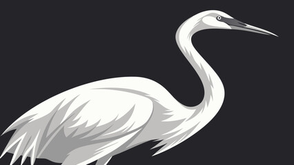 Fototapeta premium Elegant White Bird Profile Wildlife Art Nature Illustration Bird Graphic Avian Design Vector Illustration Monochrome Bird Bird Portrait Simple Bird Minimalist Bird Water Bird Feathers.