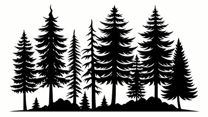 Obraz premium Silhouette of a dense evergreen forest with varied tree heights and rocky ground