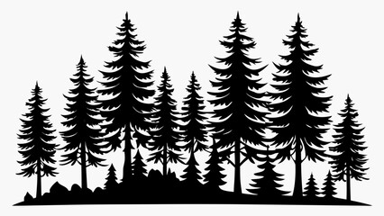 Fototapeta premium Silhouette of a dense forest of pine trees and evergreens against a white background