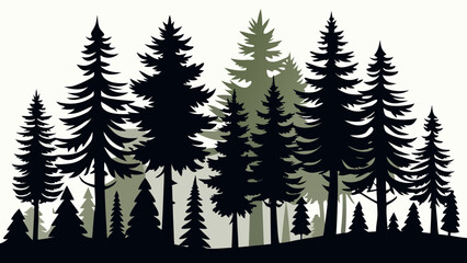 Obraz premium Dark silhouette of evergreen pine trees in a forest against a light background