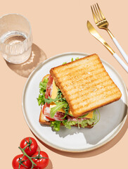 Club sandwich of toast bread with bacon, cheese, tomatoes, lettuce, arugula and sauce in a plate