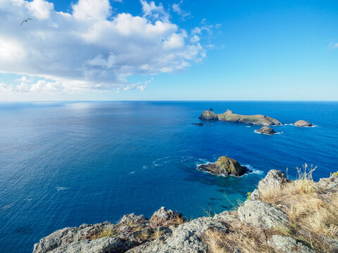  Lord Howe Island cost and seabird