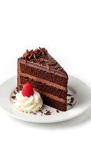 Decadent Chocolate Cake Slice with Raspberry and Whipped Cream.