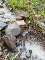 Close-up of a mountain stream after rain. Damp rocks, muddy water, and wet vegetation reflect the wild, earthy beauty of nature under soft daylight and rich natural textures.