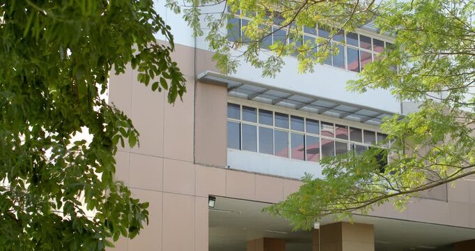 The school building windows are open.Morning sunlight shines through the leaves.