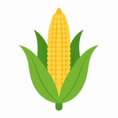 Obraz premium Fresh Yellow Corn on the Cob with Green Leaves Isolated on White Background.