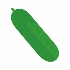 Fresh Green Cucumber Vegetable Isolated.