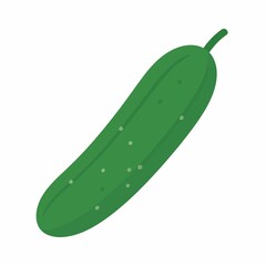 Fresh green cucumber vegetable illustration isolated on white background.