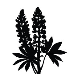 Lupine flower silhouette vector illustration, botanical floral design element, wildflower art