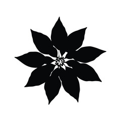 Black and white floral design, flower illustration, botanical art, nature inspired graphic element