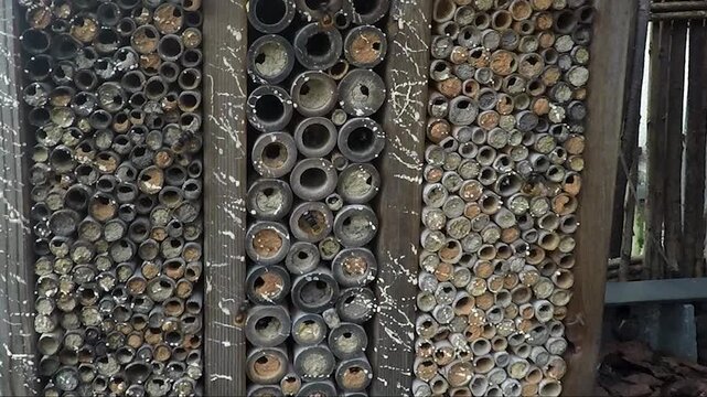Wildbienen-Hotel auf einem Balkon in Berlin