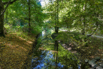 Bach und Waldwege an der Sechs-Seen-Platte in Duisburg