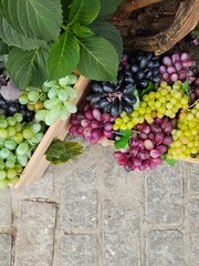 Vibrant top-down view of colorful artificial grapes in wooden crates on a rustic stone background. An abundant harvest display perfect for autumn decor or market themes.