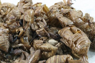Cicada slough, called Seontae in Korea, is the molted shell of cicadas. It is used in traditional medicine to dispel wind heat, relieve sore throat, treat rashes, and improve eye health.