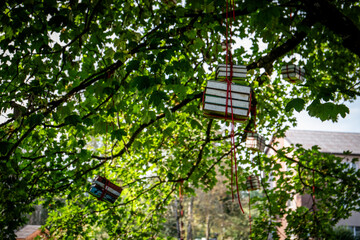 Books tied with red strings hanging from tree branches in a unique outdoor art installation, symbolizing knowledge creativity, education, and imagination