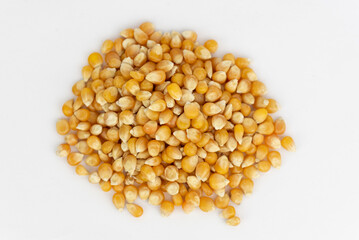 The fresh natural corn seeds 