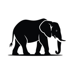 Elegant Silhouette of an African Elephant Walking with its Trunk Down on a White Background a Majestic Creature in Profile