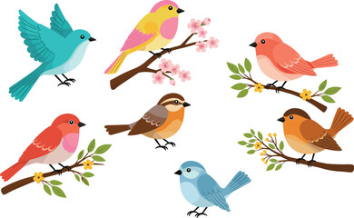 Colorful cartoon birds vector illustration perched on tree branches with flowers, cute spring songbirds collection, nature wildlife design, decorative artwork