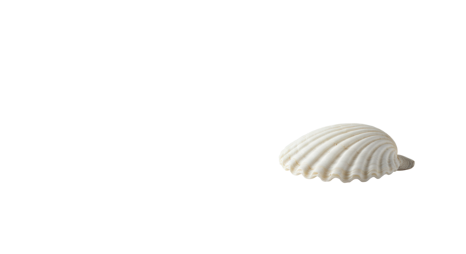 transparent scallop seashell, delicate textures, intricate contours, resting singularly on immaculate transparent surface, clean shadowless background, ample copy space. Concept of purity and