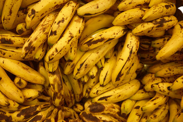 bananas on market