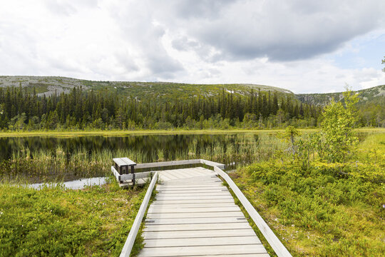 View of a wooden path leading to the still lake reflecting the dense forest and cloudy sky in Fulufj&Atilde;&curren;llet Nationalpark, Dalarnas l&Atilde;&curren;n, Sweden.