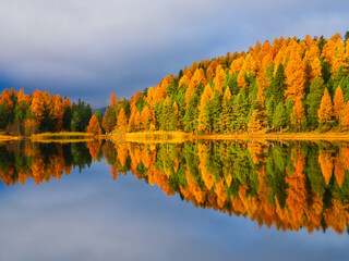 Nature. Lake and autumn forest. Symmetrical composition. Cloudy sky. Reflections on the water surface. Incredible view of the nature. Photo for background, wallpaper, postcards.