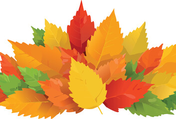 Autumn leaves background