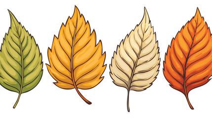 Fall Leaves. Four leaves from the same tree changing to fall color