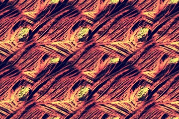 Illustration Eye Peacock. Gold Peacock Eye. Red