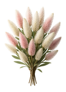 Hakea bouquet with white and pink cone-shaped flowers