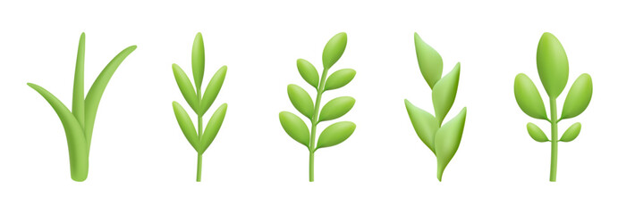 Branches and foliage leaves for bouquet decoration and arrangement. Vector 3d style, isolated bunch of floral decor. Seasonal summer or spring ornament, leafy twig from trees or bushes