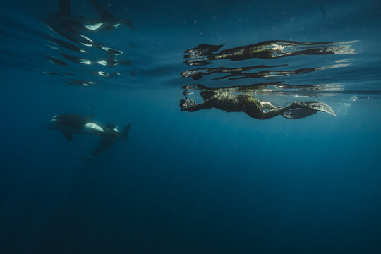 View of a swimmer gliding through the deep blue sea alongside a striking orca, sunlight dancing on the surface, La Ventana, Baja California Sur, Mexico.