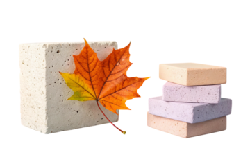 Autumn leaf with stone isolated on transparent background