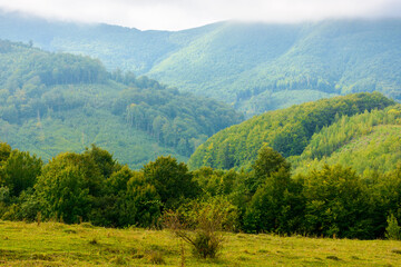Obraz premium carpathian countryside landscape in autumn. grassy meadows and forested slopes on hills rolling off in to the distant valley. overcast rainy weather with grey clouds